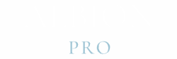 albiononlineprologoseethrough
